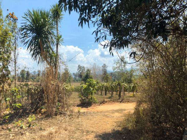 ขายที่ดินวิวสวยโซนท่องเที่ยว-ภูเรือ-จังหวัดเลย-เนื้อที่-17-ไร่-แถมบ้าน-1-หลัง