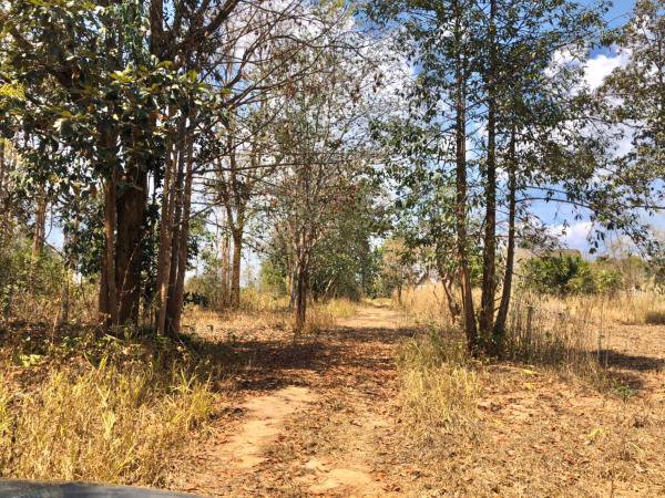 ขายที่ดินวิวสวยโซนท่องเที่ยว-ภูเรือ-จังหวัดเลย-เนื้อที่-17-ไร่-แถมบ้าน-1-หลัง