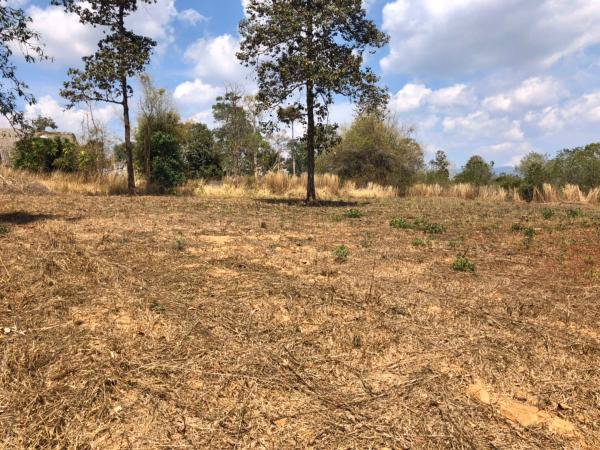 ขายที่ดินวิวสวยโซนท่องเที่ยว-ภูเรือ-จังหวัดเลย-เนื้อที่-17-ไร่-แถมบ้าน-1-หลัง