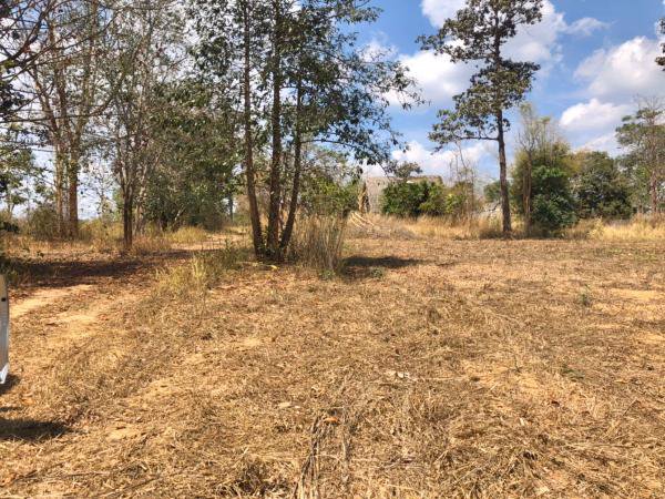 ขายที่ดินวิวสวยโซนท่องเที่ยว-ภูเรือ-จังหวัดเลย-เนื้อที่-17-ไร่-แถมบ้าน-1-หลัง