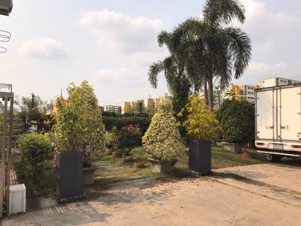 ขายอาคารสำนักงานพร้อมโกดังเก็บสินค้า-เนื้อที่-1-ไร่-ธัญบุรี-ปทุมธานี