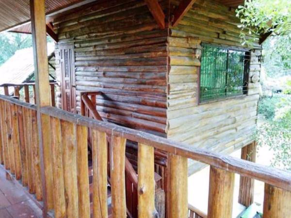 ขายบ้านสวน-เรือนไทย-เชียงใหม่-บ้านทรงไทย-พื้นที่เยอะ-1ไร่-1งาน-79-ตารางวา