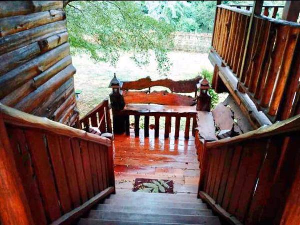 ขายบ้านสวน-เรือนไทย-เชียงใหม่-บ้านทรงไทย-พื้นที่เยอะ-1ไร่-1งาน-79-ตารางวา