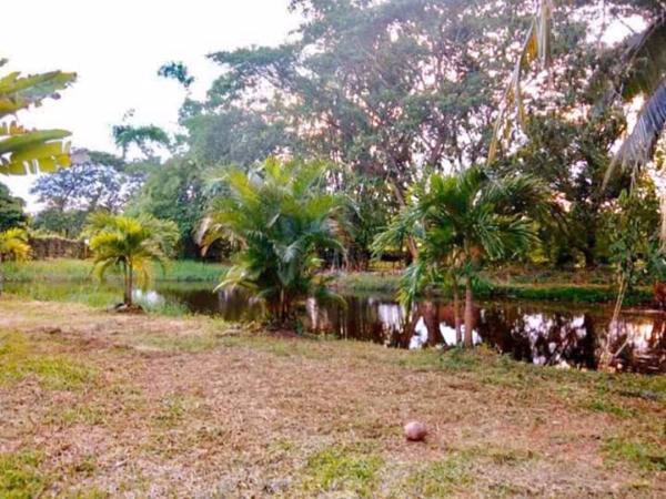 ขายบ้านสวน-เรือนไทย-เชียงใหม่-บ้านทรงไทย-พื้นที่เยอะ-1ไร่-1งาน-79-ตารางวา