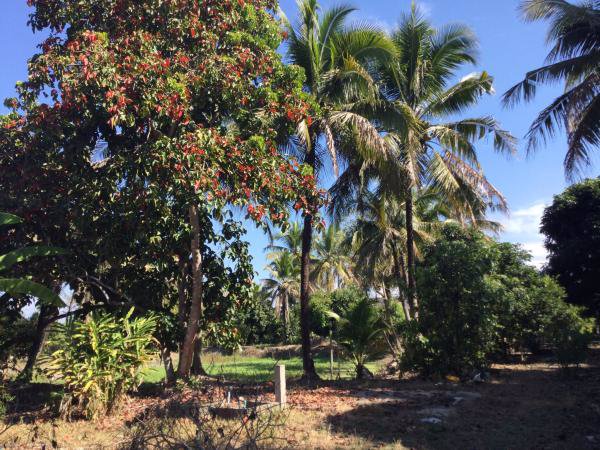 ขายที่ดินแม่ริม-6-2-33-ไร่-ติดลำเหมือง-น้ำไหลตลอดปี-วิวภูเขา-พร้อมบ้านหนึ่งหลัง