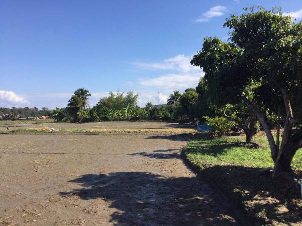 ขายที่ดินแม่ริม-6-2-33-ไร่-ติดลำเหมือง-น้ำไหลตลอดปี-วิวภูเขา-พร้อมบ้านหนึ่งหลัง