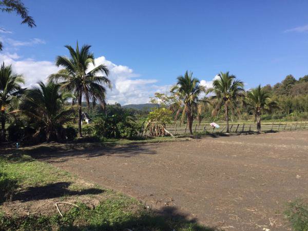 ขายที่ดินแม่ริม-6-2-33-ไร่-ติดลำเหมือง-น้ำไหลตลอดปี-วิวภูเขา-พร้อมบ้านหนึ่งหลัง