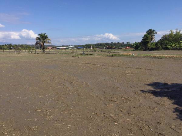 ขายที่ดินแม่ริม-6-2-33-ไร่-ติดลำเหมือง-น้ำไหลตลอดปี-วิวภูเขา-พร้อมบ้านหนึ่งหลัง