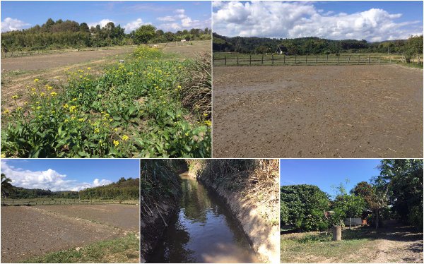 ขายที่ดินแม่ริม-6-2-33-ไร่-ติดลำเหมือง-น้ำไหลตลอดปี-วิวภูเขา-พร้อมบ้านหนึ่งหลัง