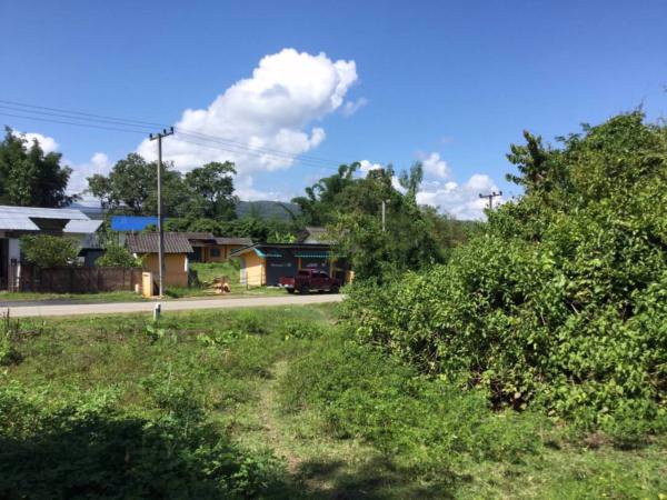 ขายที่ดิน-เนื้อที่-2-ไร่-83-ตารางวา-โฉนด-ที่เนิน-ติดถนน-วิวภูเขา-ติดถนนแม่ริม-บ้านไร่-3009-