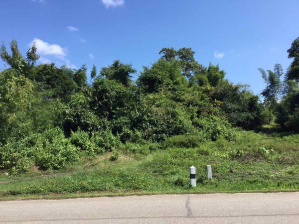 ขายที่ดิน-เนื้อที่-2-ไร่-83-ตารางวา-โฉนด-ที่เนิน-ติดถนน-วิวภูเขา-ติดถนนแม่ริม-บ้านไร่-3009-