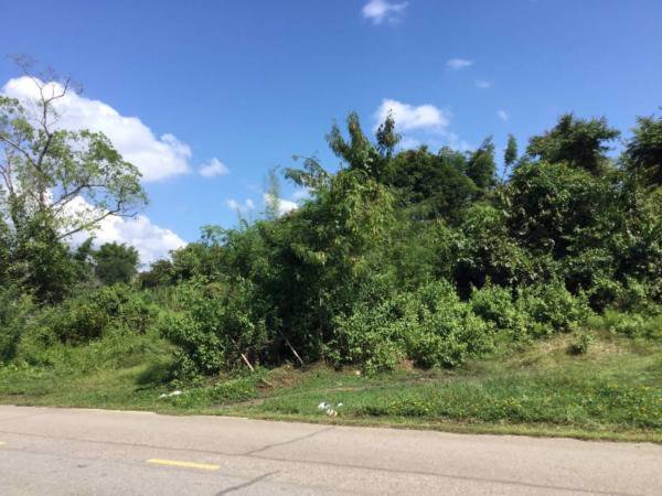 ขายที่ดิน-เนื้อที่-2-ไร่-83-ตารางวา-โฉนด-ที่เนิน-ติดถนน-วิวภูเขา-ติดถนนแม่ริม-บ้านไร่-3009-