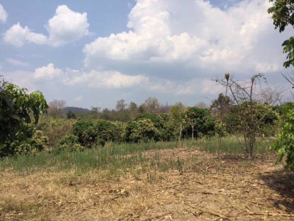 ขายสวนลำไย-วิวภูเขาล้อมรอบ-ติดสระน้ำ-เนื้อที่-29-1-37-ไร่