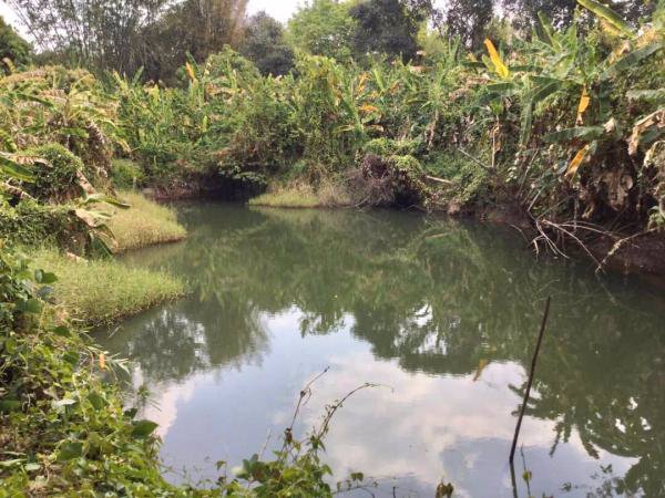 ขายสวนลำไย-วิวภูเขาล้อมรอบ-ติดสระน้ำ-เนื้อที่-29-1-37-ไร่