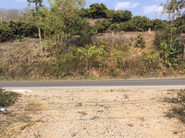 ขายที่ดิน-23-2-81-ไร่-โฉนด-ที่เนินสวน-วิวภูเขา-360-องศา-เชียงดาว-เชียงใหม่