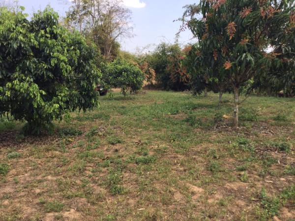 ขายที่ดิน-23-2-81-ไร่-โฉนด-ที่เนินสวน-วิวภูเขา-360-องศา-เชียงดาว-เชียงใหม่