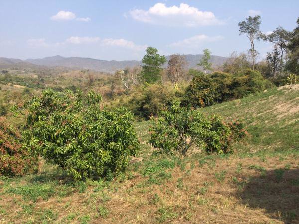 ขายที่ดิน-23-2-81-ไร่-โฉนด-ที่เนินสวน-วิวภูเขา-360-องศา-เชียงดาว-เชียงใหม่