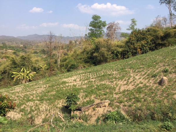 ขายที่ดิน-23-2-81-ไร่-โฉนด-ที่เนินสวน-วิวภูเขา-360-องศา-เชียงดาว-เชียงใหม่