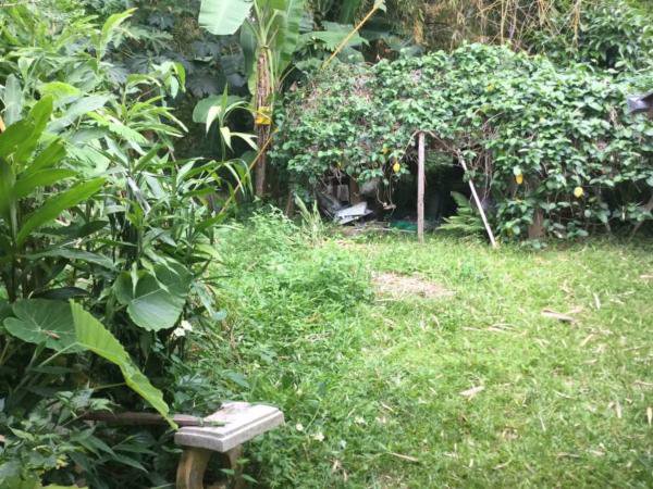 ขายที่ดิน-100ตารางวา-พร้อมบ้านไม้-ติดน้ำแม่ริม-บรรยากาศดี-เชียงใหม่