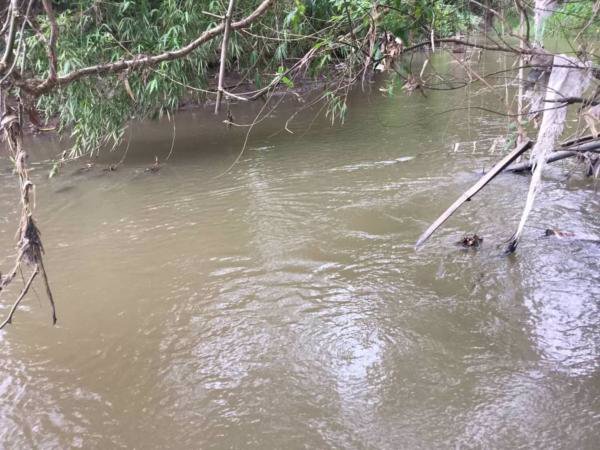 ขายที่ดิน-100ตารางวา-พร้อมบ้านไม้-ติดน้ำแม่ริม-บรรยากาศดี-เชียงใหม่