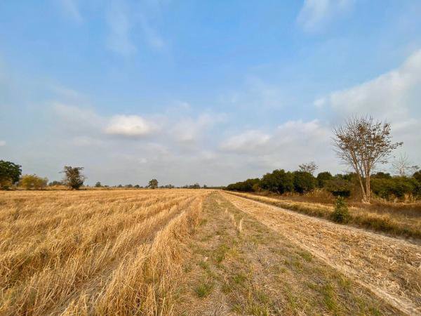 ขายด่วน-ที่ดิน-เนื้อที่-28-2-765-ไร่-อวังทอง-พิษณุโลก