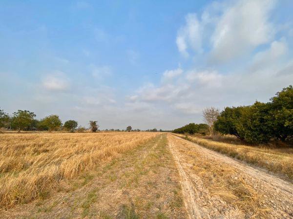 ขายด่วน-ที่ดิน-เนื้อที่-28-2-765-ไร่-อวังทอง-พิษณุโลก