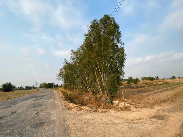 ขายด่วน-ที่ดิน-เนื้อที่-28-2-765-ไร่-อวังทอง-พิษณุโลก