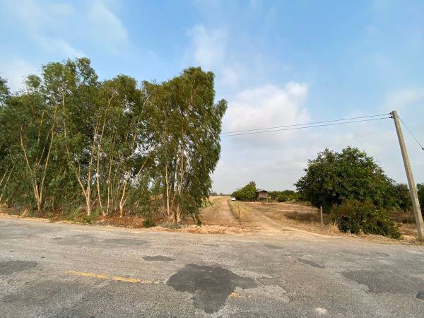 ขายด่วน-ที่ดิน-เนื้อที่-28-2-765-ไร่-อวังทอง-พิษณุโลก