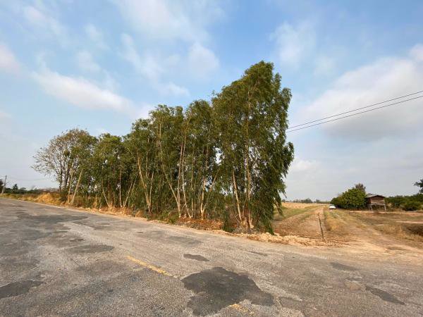 ขายด่วน-ที่ดิน-เนื้อที่-28-2-765-ไร่-อวังทอง-พิษณุโลก