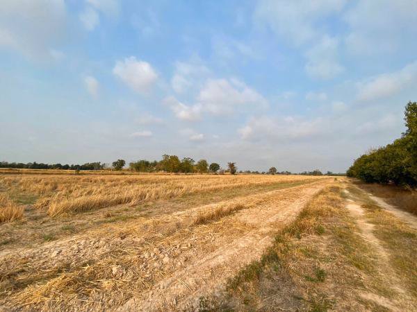 ขายด่วน-ที่ดิน-เนื้อที่-28-2-765-ไร่-อวังทอง-พิษณุโลก