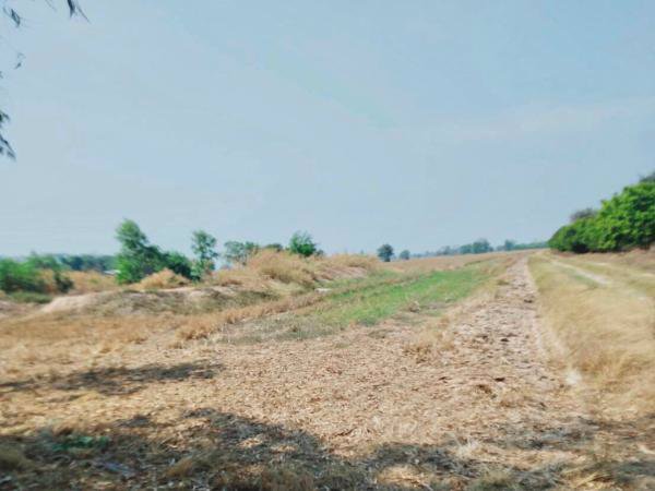 ขายด่วน-ที่ดิน-เนื้อที่-28-2-765-ไร่-อวังทอง-พิษณุโลก