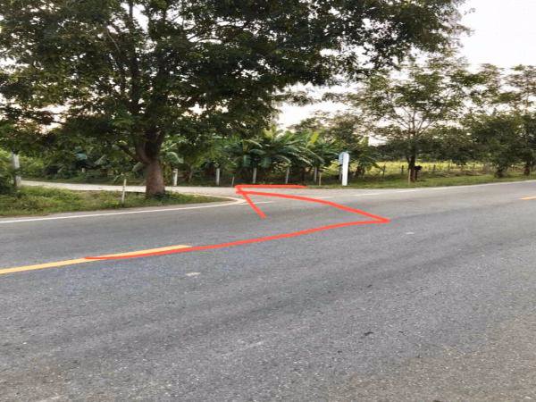 ขายที่ดินราชบุรี-เนื้อที่-39-1-44-ไร่-ดินดี-น้ำดี-ถนนกำลังขยาย-4-เลนรองรับเส้นเศรษฐกิจ