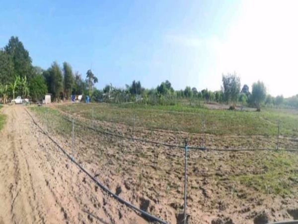 ขายที่ดินมาบตาพุดระยอง-สีม่วงเข้ม-38-0-793-ไร่