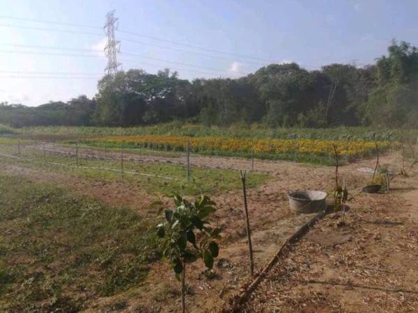 ขายที่ดินมาบตาพุดระยอง-สีม่วงเข้ม-38-0-793-ไร่