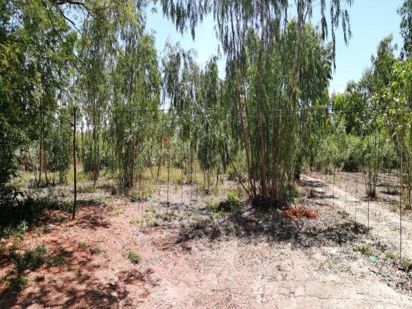 ขายที่ดินมาบตาพุดระยอง-สีม่วงเข้ม-38-0-793-ไร่