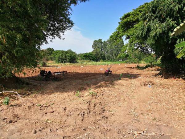 ขายที่ดินมาบตาพุดระยอง-สีม่วงเข้ม-38-0-793-ไร่