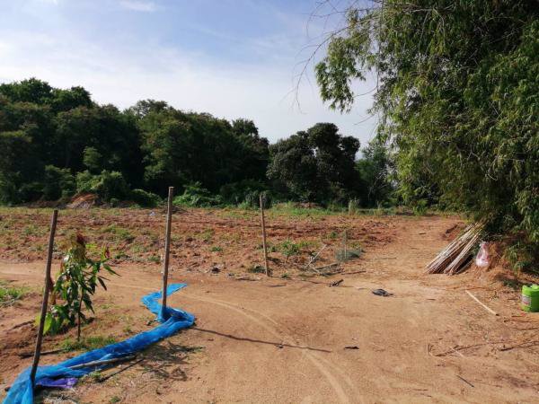 ขายที่ดินมาบตาพุดระยอง-สีม่วงเข้ม-38-0-793-ไร่