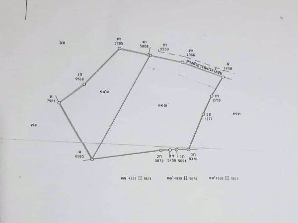 ขายที่ดินวิวเขา-ราคาถูก-40-ไร่-45-ตารางวา-ทำเลสวยงามตามฮวงจุ้ย-หน้าใกล้ถนนหลังติดภูเขา-ชัยนาท