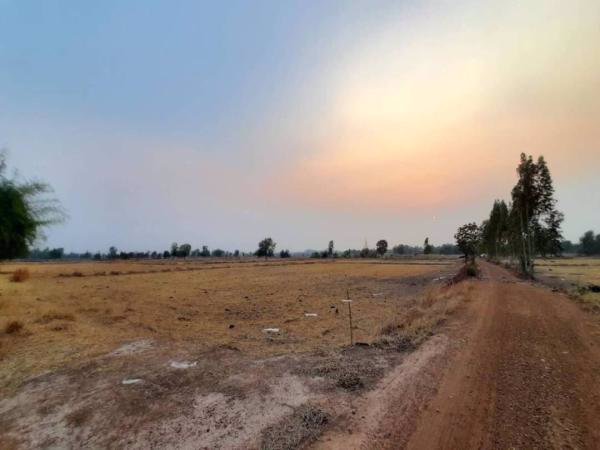 ขายที่ดินวิวเขา-ราคาถูก-40-ไร่-45-ตารางวา-ทำเลสวยงามตามฮวงจุ้ย-หน้าใกล้ถนนหลังติดภูเขา-ชัยนาท