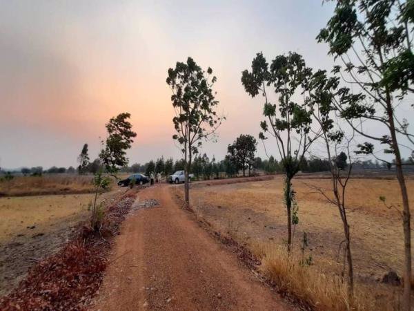 ขายที่ดินวิวเขา-ราคาถูก-40-ไร่-45-ตารางวา-ทำเลสวยงามตามฮวงจุ้ย-หน้าใกล้ถนนหลังติดภูเขา-ชัยนาท