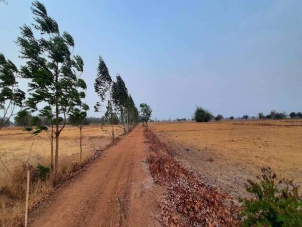 ขายที่ดินวิวเขา-ราคาถูก-40-ไร่-45-ตารางวา-ทำเลสวยงามตามฮวงจุ้ย-หน้าใกล้ถนนหลังติดภูเขา-ชัยนาท