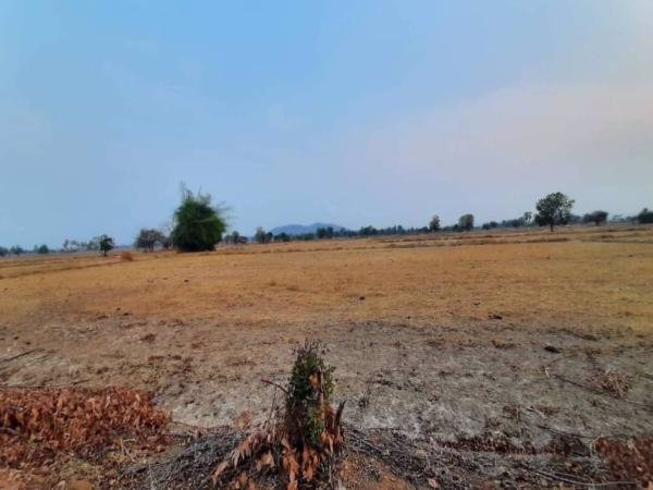 ขายที่ดินวิวเขา-ราคาถูก-40-ไร่-45-ตารางวา-ทำเลสวยงามตามฮวงจุ้ย-หน้าใกล้ถนนหลังติดภูเขา-ชัยนาท