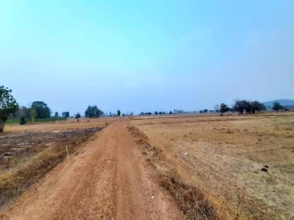 ขายที่ดินวิวเขา-ราคาถูก-40-ไร่-45-ตารางวา-ทำเลสวยงามตามฮวงจุ้ย-หน้าใกล้ถนนหลังติดภูเขา-ชัยนาท