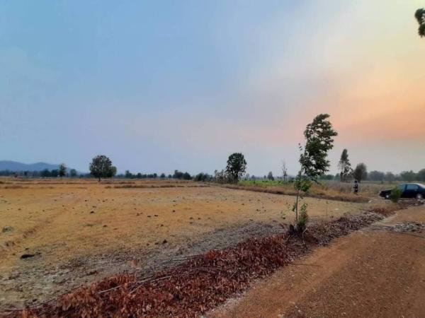 ขายที่ดินวิวเขา-ราคาถูก-40-ไร่-45-ตารางวา-ทำเลสวยงามตามฮวงจุ้ย-หน้าใกล้ถนนหลังติดภูเขา-ชัยนาท