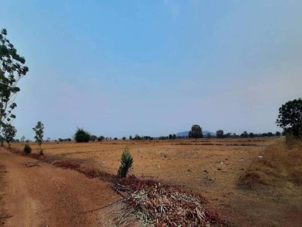 ขายที่ดินวิวเขา-ราคาถูก-40-ไร่-45-ตารางวา-ทำเลสวยงามตามฮวงจุ้ย-หน้าใกล้ถนนหลังติดภูเขา-ชัยนาท