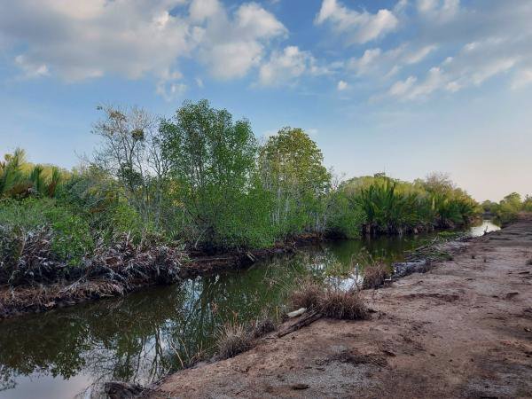 ขายที่ดิน-ติดคลอง-เขาน้อย-อคมบาง-จจันทบุรี-สามารถ-เลี้ยงกุ้ง-เลี้ยงปู-ทำรีสอร์ต-โฮมสเตย์ได้