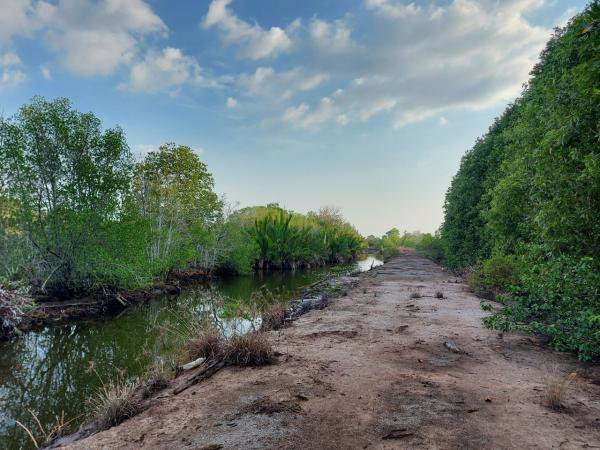 ขายที่ดิน-ติดคลอง-เขาน้อย-อคมบาง-จจันทบุรี-สามารถ-เลี้ยงกุ้ง-เลี้ยงปู-ทำรีสอร์ต-โฮมสเตย์ได้