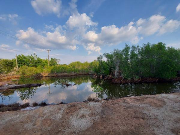 ขายที่ดิน-ติดคลอง-เขาน้อย-อคมบาง-จจันทบุรี-สามารถ-เลี้ยงกุ้ง-เลี้ยงปู-ทำรีสอร์ต-โฮมสเตย์ได้