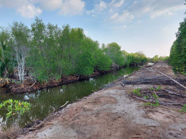 ขายที่ดิน-ติดคลอง-เขาน้อย-อคมบาง-จจันทบุรี-สามารถ-เลี้ยงกุ้ง-เลี้ยงปู-ทำรีสอร์ต-โฮมสเตย์ได้