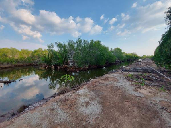 ขายที่ดิน-ติดคลอง-เขาน้อย-อคมบาง-จจันทบุรี-สามารถ-เลี้ยงกุ้ง-เลี้ยงปู-ทำรีสอร์ต-โฮมสเตย์ได้